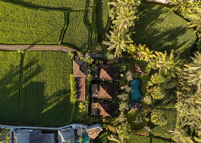 Keraman * Ubud